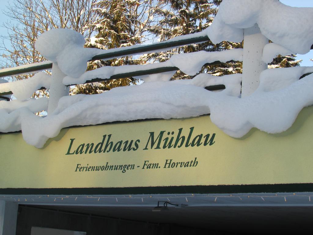 Apartment Landhaus Muehlau In Tirol Erpfendorf Buitenkant foto